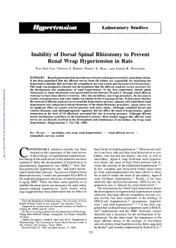 Inability of Dorsal Spinal Rhizotomy to Prevent Renal