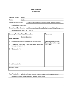 Grade 8 Science Activities