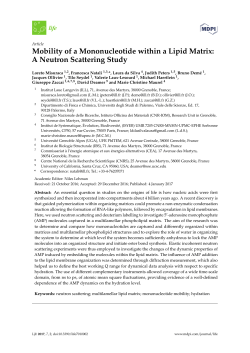 Mobility of a Mononucleotide within a Lipid Matrix: A