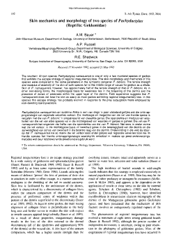 Skin mechanics and morphology of two species of Pachydactylus