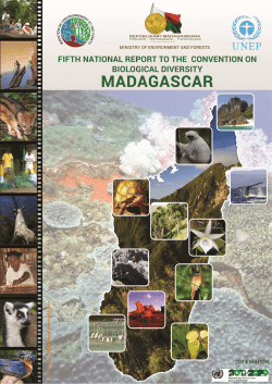 CBD Fifth National Report - Madagascar (English version)