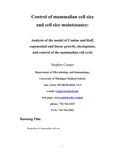 Control of mammalian cell size and cell size maintenance