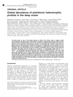 Global abundance of planktonic heterotrophic protists in the deep