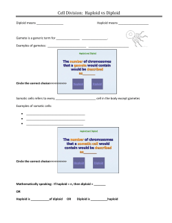 Cell Division: Haploid vs Diploid