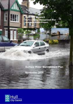 Surface water management plan