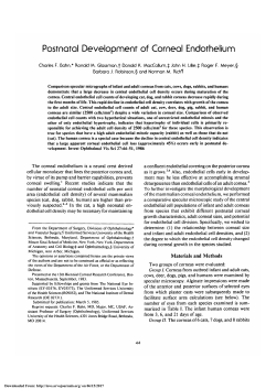 Postnatal development of corneal endothelium.
