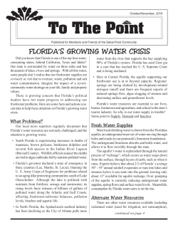 To The Point - Sabal Point