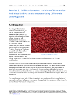 Exercise 5. Cell Fractionation: Isolation of Mammalian Red Blood