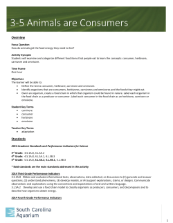 3-5 Animals are Consumers Activity