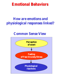 Emotional Behaviors