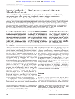 Loss of p19Arf in a Rag1 / B-cell precursor