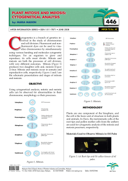 plant mitosis and meiosis: cytogenetical analysis - PALMOILIS