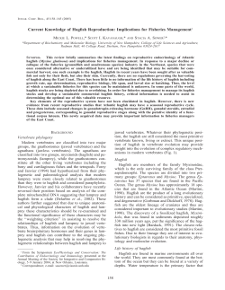 Current Knowledge of Hagfish Reproduction