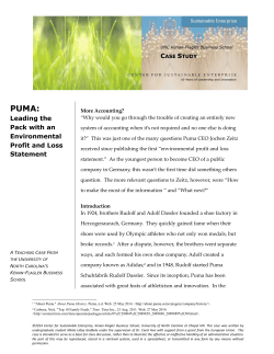 PUMA_Leading the Pack with an Environmental Profit and Loss