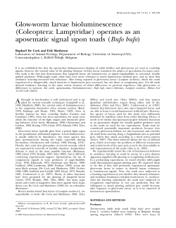 Glow-worm larvae bioluminescence (Coleoptera: Lampyridae