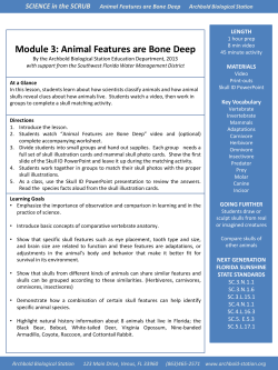 Module 3: Animal Features are Bone Deep