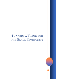 Towards a Vision for the Black Community