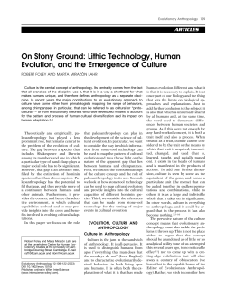 On stony ground: Lithic technology, human evolution, and the