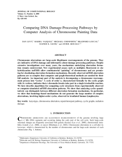 Comparing DNA Damage-Processing Pathways by Computer