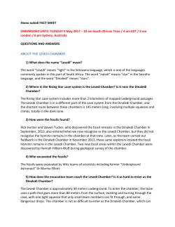 Homo naledi FACT SHEET EMBARGOED UNTIL