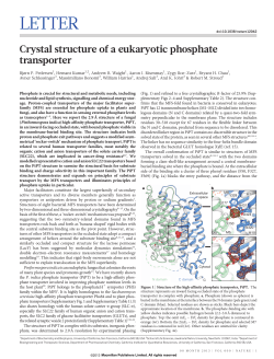 Crystal structure of a eukaryotic phosphate transporter