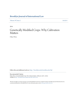 Genetically Modified Crops: Why Cultivation Matters