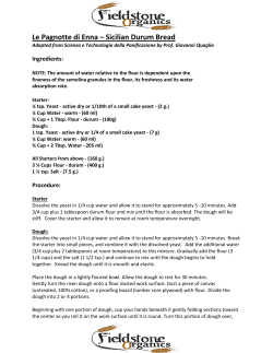 Sicilian Durum Bread - Fieldstone Organics