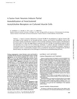 A Factor from Neurons Induces Partial Immobilization of