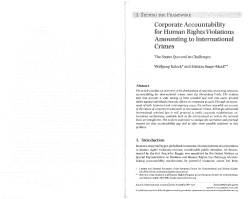 Corporate Accountability for Human Rights Violations Amounting to