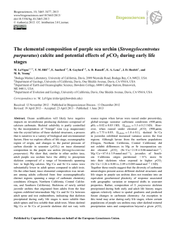 The elemental composition of purple sea urchin