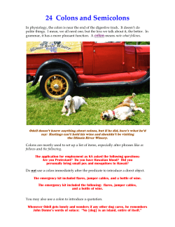 24 Colons and Semicolons