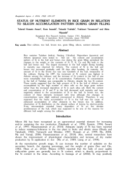 ACCUMULATION OF SILICON AND MINERALS IN RICE GRAIN