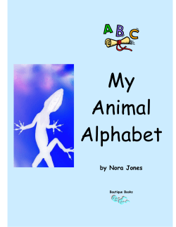 My Animal Alphabet