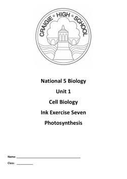 Photosynthesis - Craigie High School