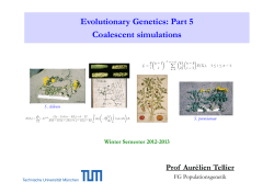 Coalescent simulations - Section of population genetics