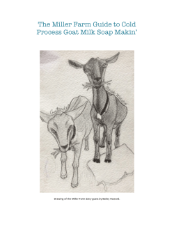 Cold Process Soap Pamphlet