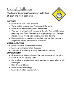 Copy of ideas from leaders