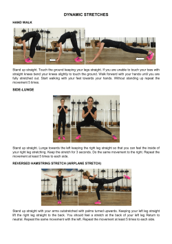 Cricket website Dynamic stretches