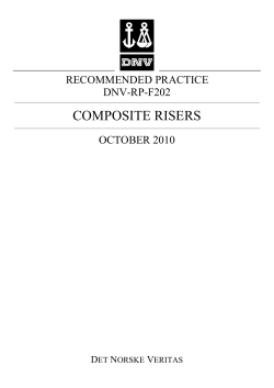 DNV-RP-F202: Composite Risers