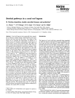 Detrital pathways in a coral reef lagoon