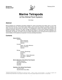 Marine Tetrapods - Bangarang | Whales, seabirds, and their prey in
