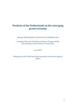 Position of the Netherlands in the emerging green economy