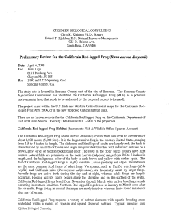 Red-legged Frog study