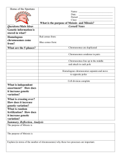 Home of the Spartans What is the purpose of Meiosis and Mitosis