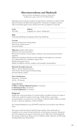 Macroinvertebrate and Mudsnails