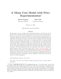 A Menu Cost Model with Price Experimentation