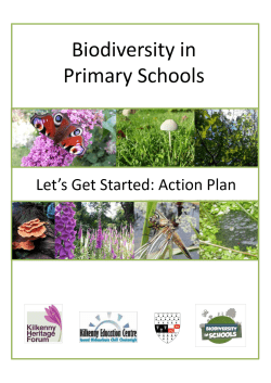 Biodiversity in Primary Schools