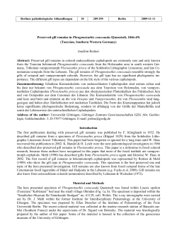 Preserved gill remains in Phragmoteuthis conocauda (Quenstedt