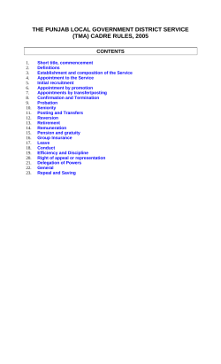 the punjab local government district service (tma