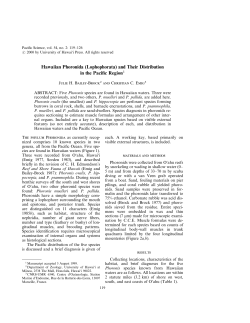 Hawaiian Phoronida (Lophophorata) and Their